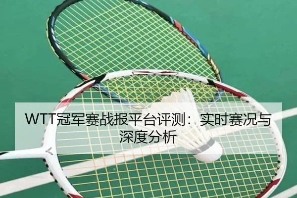 WTT冠军赛战报平台评测：实时赛况与深度分析